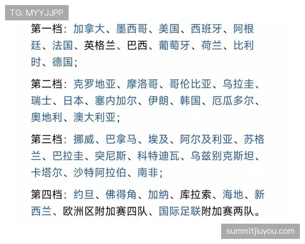 世界杯E组赛前深度解读